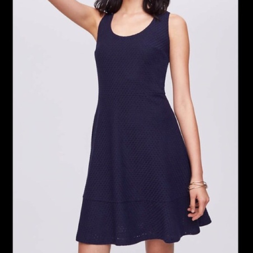 Navy Blue Loft Eyelet Dress